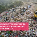 US Shoreline Litter Drops Up to 47% After Plastic Bag Bans and Fees, Study Reveals