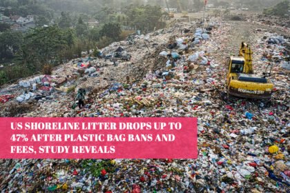 US Shoreline Litter Drops Up to 47% After Plastic Bag Bans and Fees, Study Reveals