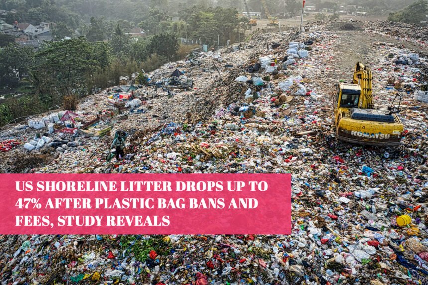 US Shoreline Litter Drops Up to 47% After Plastic Bag Bans and Fees, Study Reveals